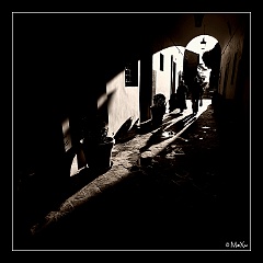 V - IMG_7740